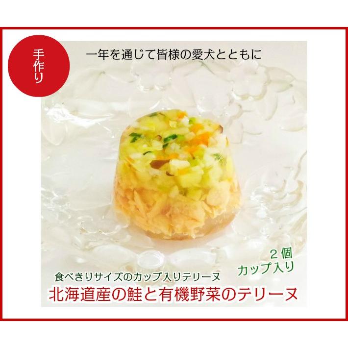 犬 手作り食 ごはん 無添加 ドッグフード ギフト 誕生日 ケーキ おやつ 老犬 トッピング 北海道の鮭と有機野菜のカップ入りテリーヌ Anv 7 手作り派犬ごはんの専門店ごちでり 通販 Yahoo ショッピング