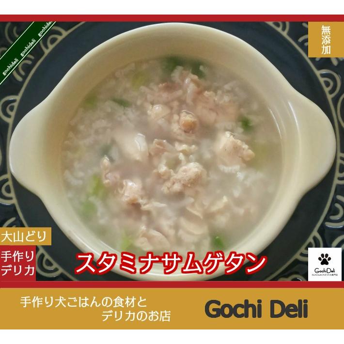 犬 手作り食 ごはん 無添加 ドッグフード ギフト 誕生日 ケーキ おやつ 老犬 トッピング スタミナサムゲタン Ck 6 手作り派犬ごはんの専門店ごちでり 通販 Yahoo ショッピング