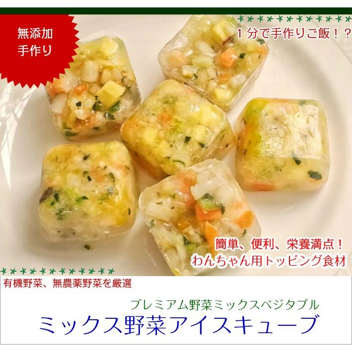 再入荷 犬 手作り食 ごはん 無添加 ドッグフード ギフト 誕生日 ケーキ おやつ 老犬 トッピング ミックス野菜アイスキューブ Shipsctc Org