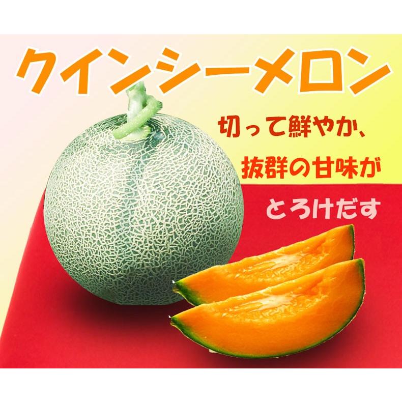085糖度18度以上！茨城県旭村産クインシーメロン極4Lサイズ1箱3玉入り 085糖度18度以上！茨城県旭村産クインシーメロン極4Lサイズ1箱3玉入り