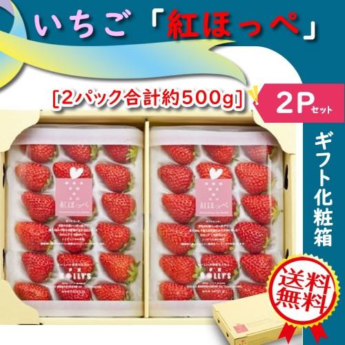 いちご【紅ほっぺ】苺・静岡県産 合計約500g(約250g x 2パック いちご【紅ほっぺ】苺・静岡県産 合計約500g(約250g x 2パック