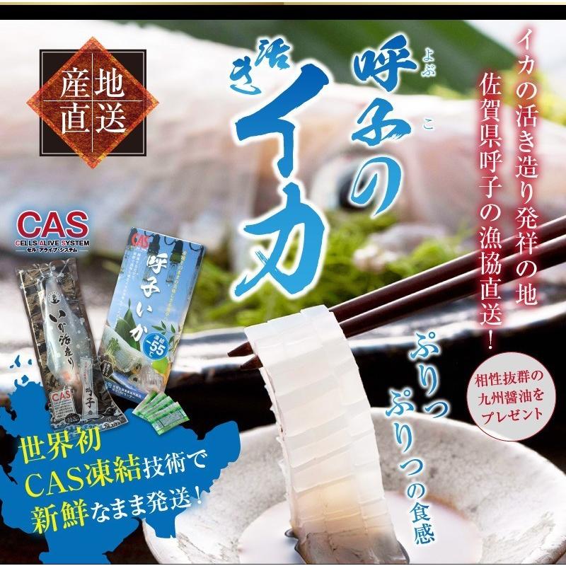 呼子のいか イカ活造り 4杯セット 約8人前 1杯175g前後 4 佐賀県産 イカ 刺身 剣先いか 海鮮グルメ 送料無料 Qn005 ごちそうギフト市場 通販 Yahoo ショッピング