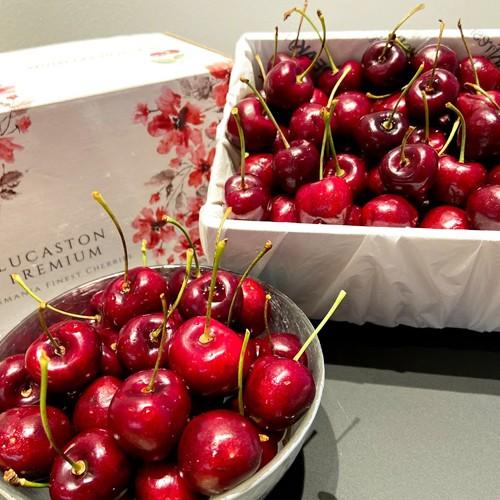 タスマニアチェリー1kg : ごちそうギフト市場 - 通販 - Yahoo!ショッピング