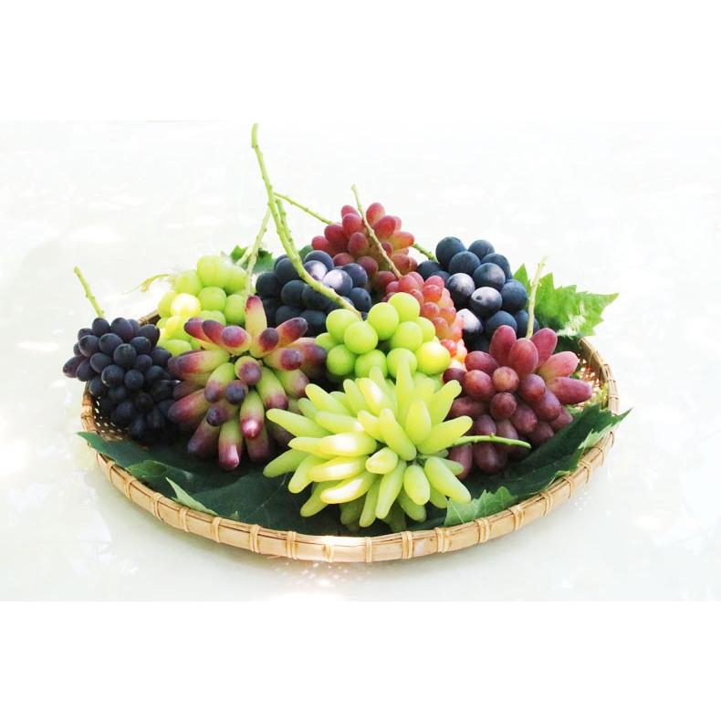 定価264000円　【未使用】平安象彦　宝石箱　葡萄　ぶどう　高級漆器 ぶどう 宝石箱 – 象彦 公式オンラインショップ