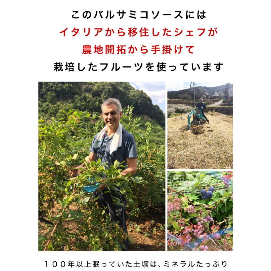 バルサミコソース 120ml イタリアン イタリアンシェフ バルサミコ ドレッシング 肉料理 魚料理 バルサミコジャム南紀和歌山 ギフト |  | 04