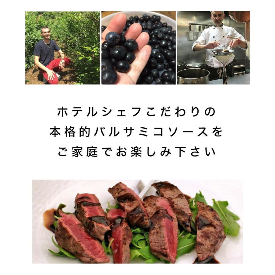 バルサミコソース 120ml イタリアン イタリアンシェフ バルサミコ ドレッシング 肉料理 魚料理 バルサミコジャム南紀和歌山 ギフト |  | 09