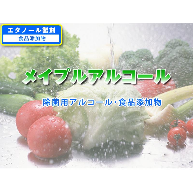 メイプルアルコール75% 【専用ノズル付き】 4Lアルコール除菌液（旧