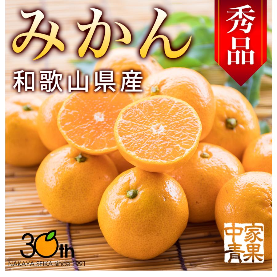 みかん 秀品 3kg 和歌山県 サイズ混合 赤秀 和歌山 光センサー 糖度