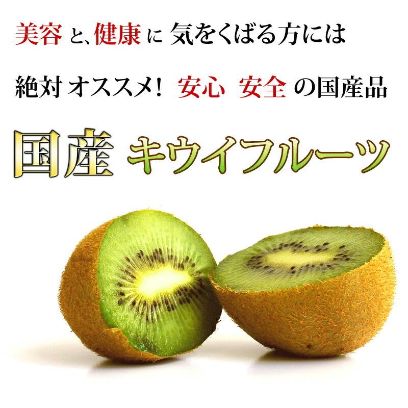 キウイフルーツ 【国産 サイズ不揃い 3kg】訳あり フルーツ・果物 kiwi キウィ キィウィ キーウィ 産地直送 和歌山産 |  | 02