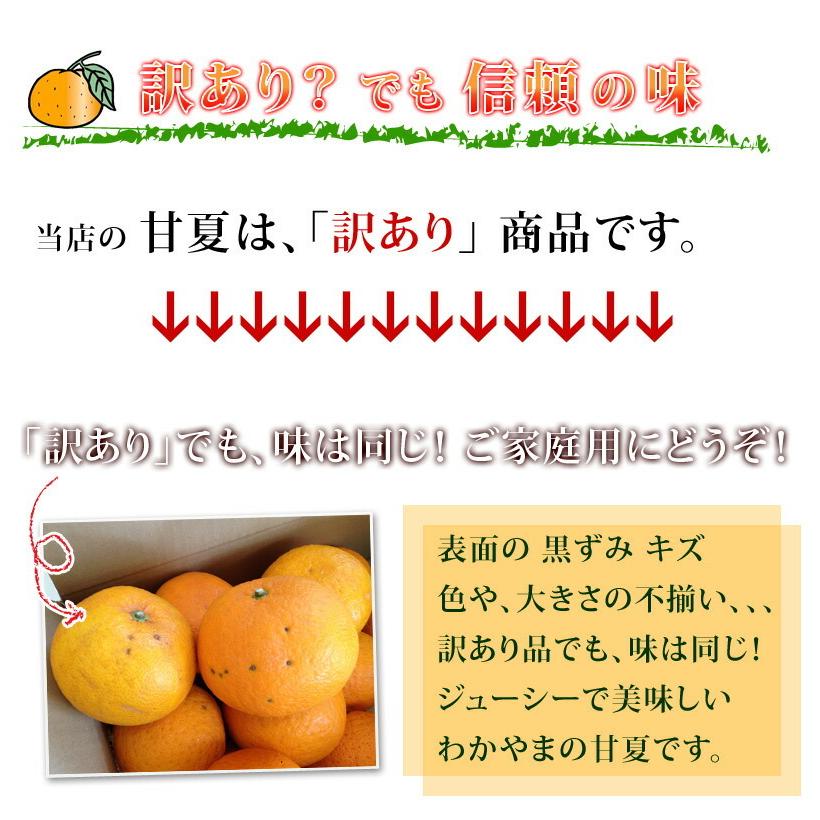 甘夏 訳あり 5kg 送料無料 和歌山産 あまなつ 甘夏 5kg 産地直送 甘夏みかん 訳あり 甘夏ギフト 有田みかんの里 わかやま 取り寄せ |  | 01