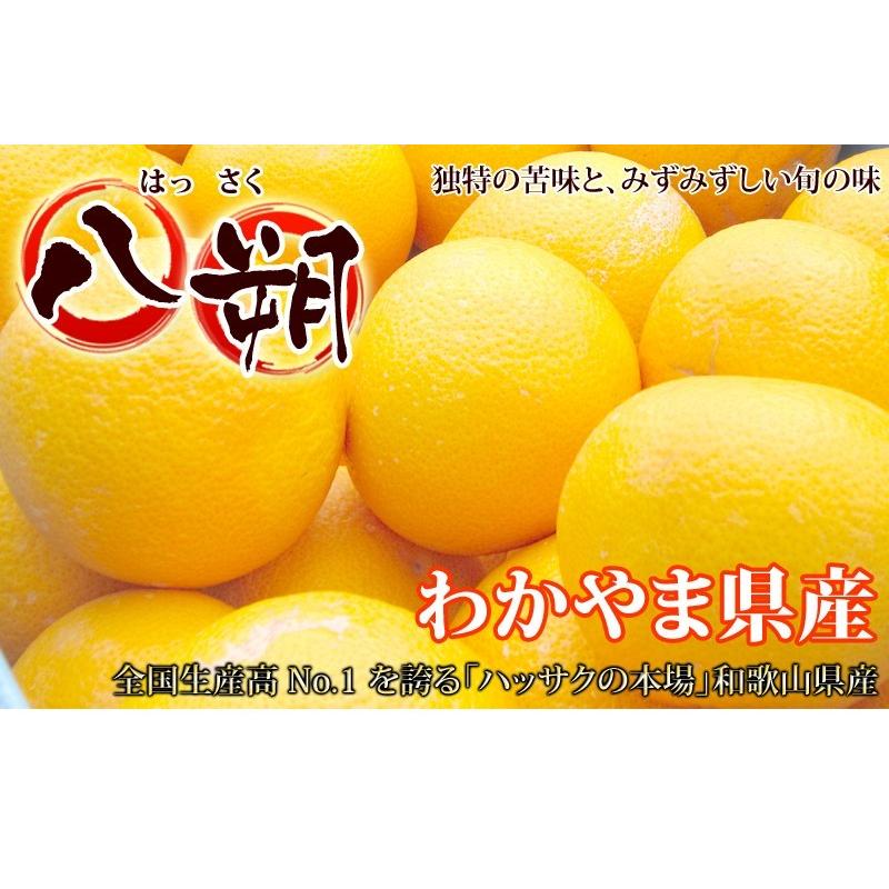 はっさく 5kg （訳あり） 【送料無料】有田みかんの里、フルーツ王国、和歌山県から産地直送 |  | 01