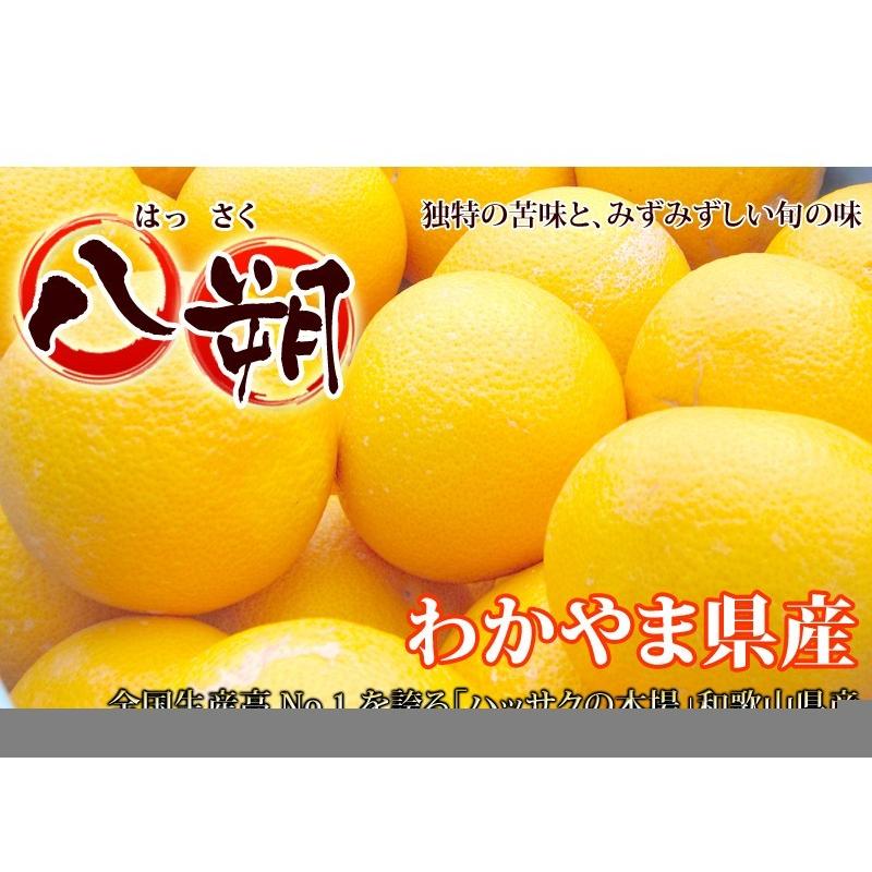 はっさく 5kg （訳あり） 【送料無料】有田みかんの里、フルーツ王国、和歌山県から産地直送 |  | 10