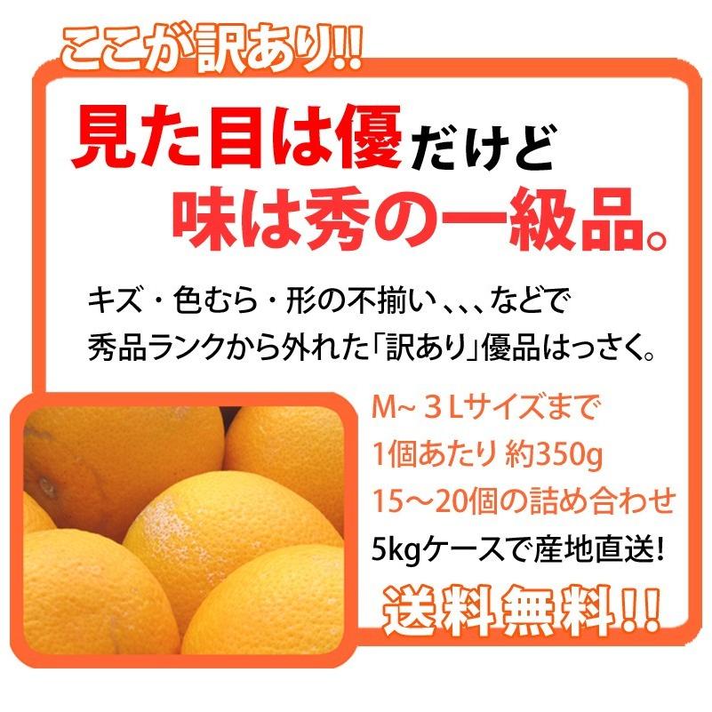 はっさく 5kg （訳あり） 【送料無料】有田みかんの里、フルーツ王国、和歌山県から産地直送 |  | 03