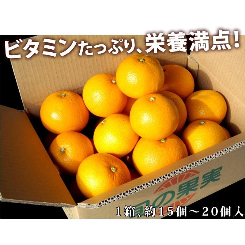はっさく 5kg （訳あり） 【送料無料】有田みかんの里、フルーツ王国、和歌山県から産地直送 |  | 04