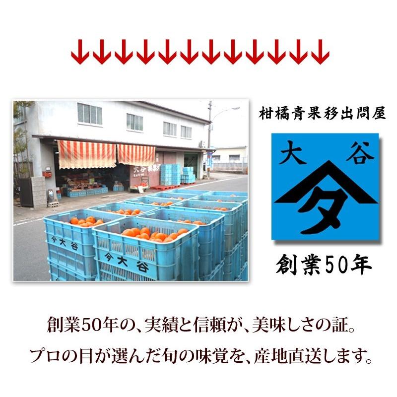 はっさく 5kg （訳あり） 【送料無料】有田みかんの里、フルーツ王国、和歌山県から産地直送 |  | 06