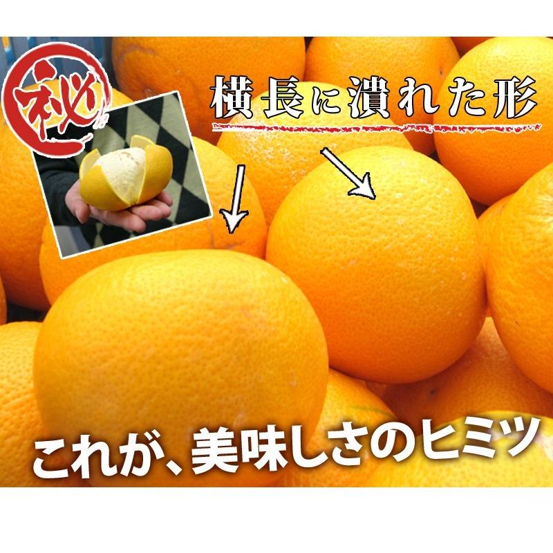 はっさく 5kg （訳あり） 【送料無料】有田みかんの里、フルーツ王国、和歌山県から産地直送 |  | 08