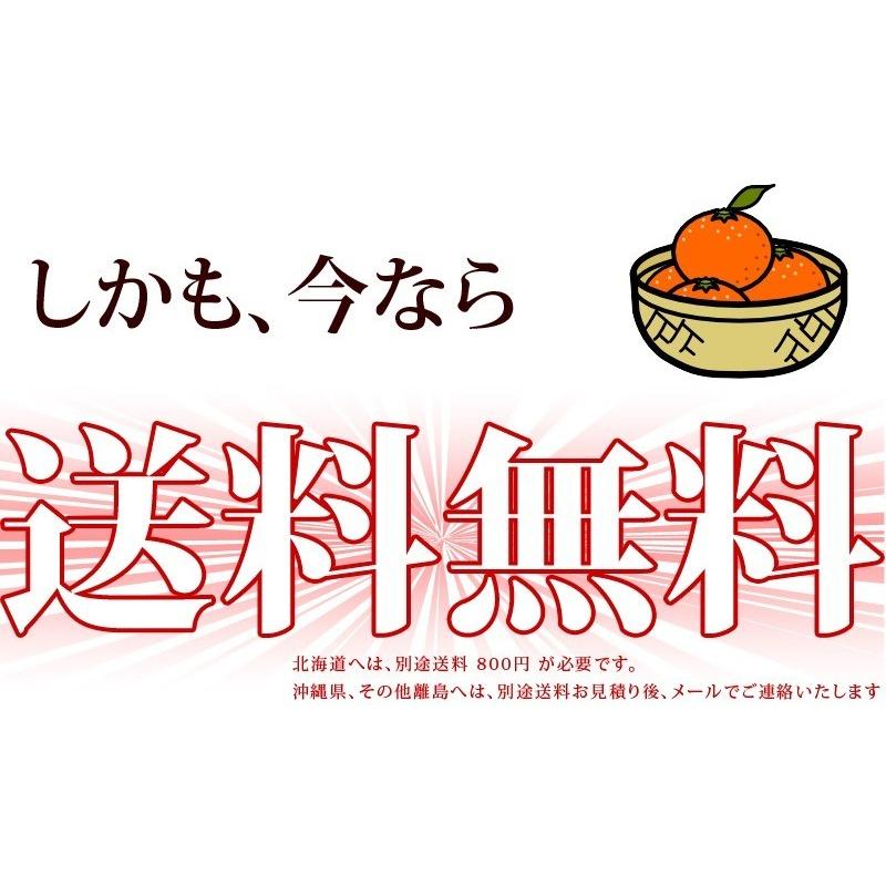 はっさく 5kg （訳あり） 【送料無料】有田みかんの里、フルーツ王国、和歌山県から産地直送 |  | 09