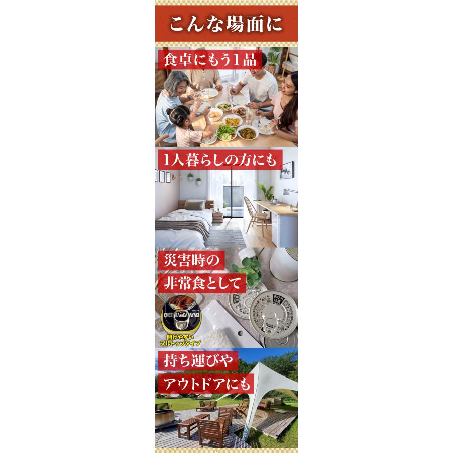 30缶 さんまの蒲焼缶 元祖ちょうした 田原缶詰 ちょうしたブランド