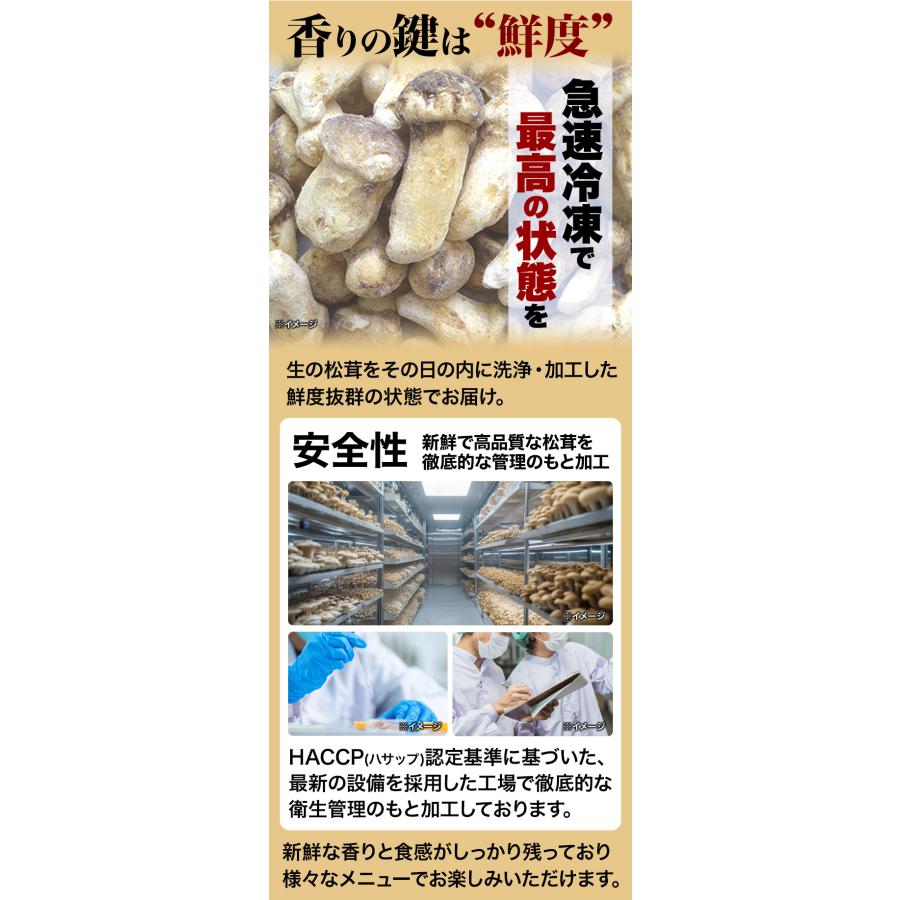 250g 天然松茸(つぼみ) 松茸 まつたけ マツタケ 天然松茸 高級松茸 天然 秋の味覚 希少 高級食材 旬 山の幸 きのこ キノコ つぼみ ...