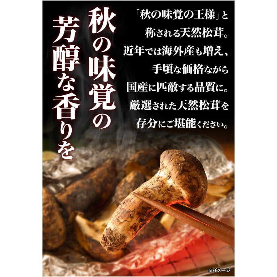 500g 天然松茸(つぼみ) 松茸 まつたけ マツタケ 天然松茸 高級松茸 天然 秋の味覚 希少 高級食材 旬 山の幸 きのこ キノコ つぼみ 送料無料 爆買_3