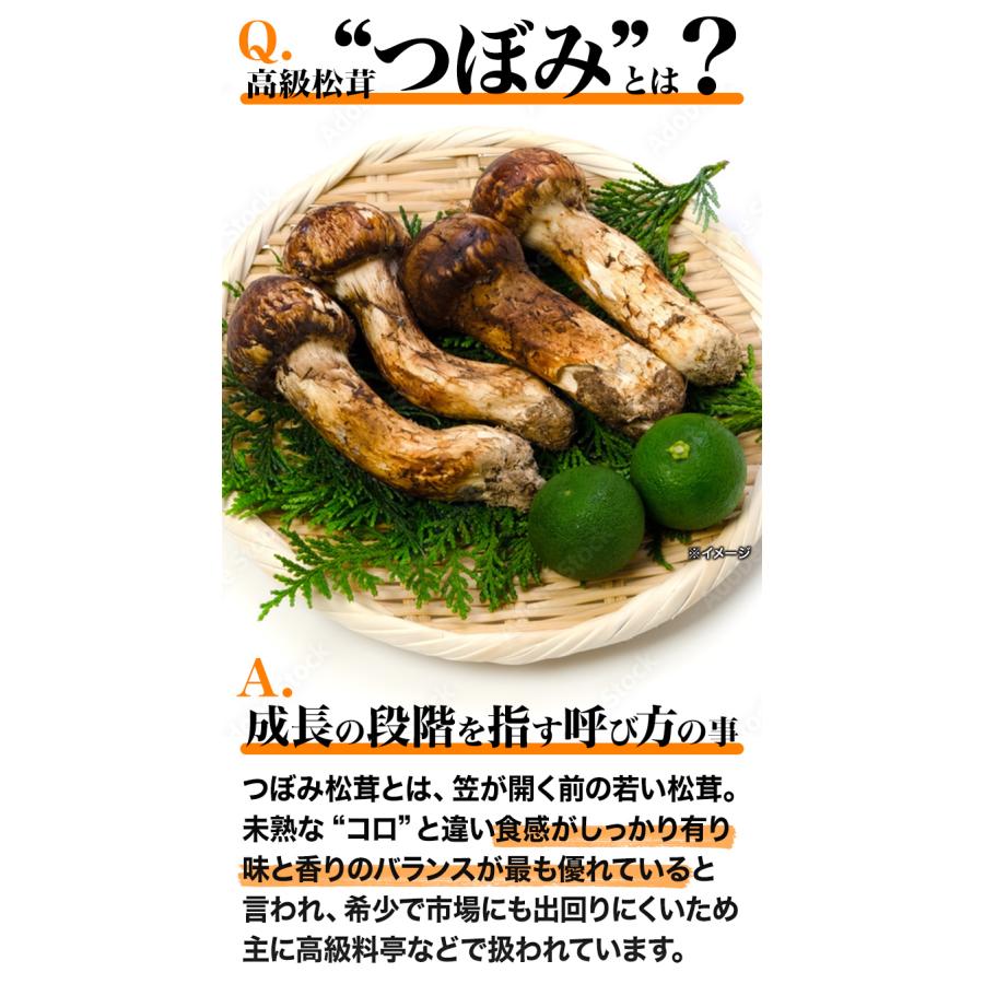 500g 天然松茸(つぼみ) 松茸 まつたけ マツタケ 天然松茸 高級松茸 天然 秋の味覚 希少 高級食材 旬 山の幸 きのこ キノコ つぼみ 送料無料 爆買_4