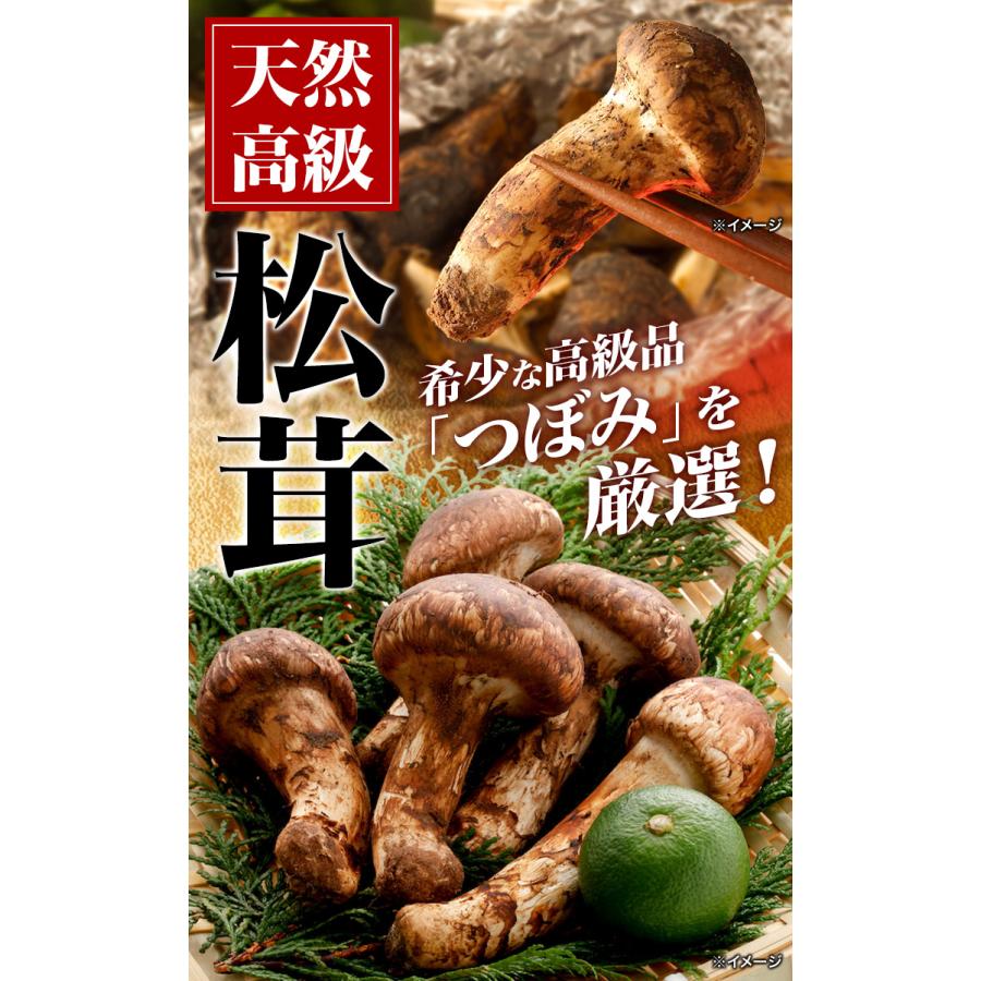500g 天然松茸(つぼみ) 松茸 まつたけ マツタケ 天然松茸 高級松茸 天然 秋の味覚 希少 高級食材 旬 山の幸 きのこ キノコ つぼみ 送料無料 爆買_7