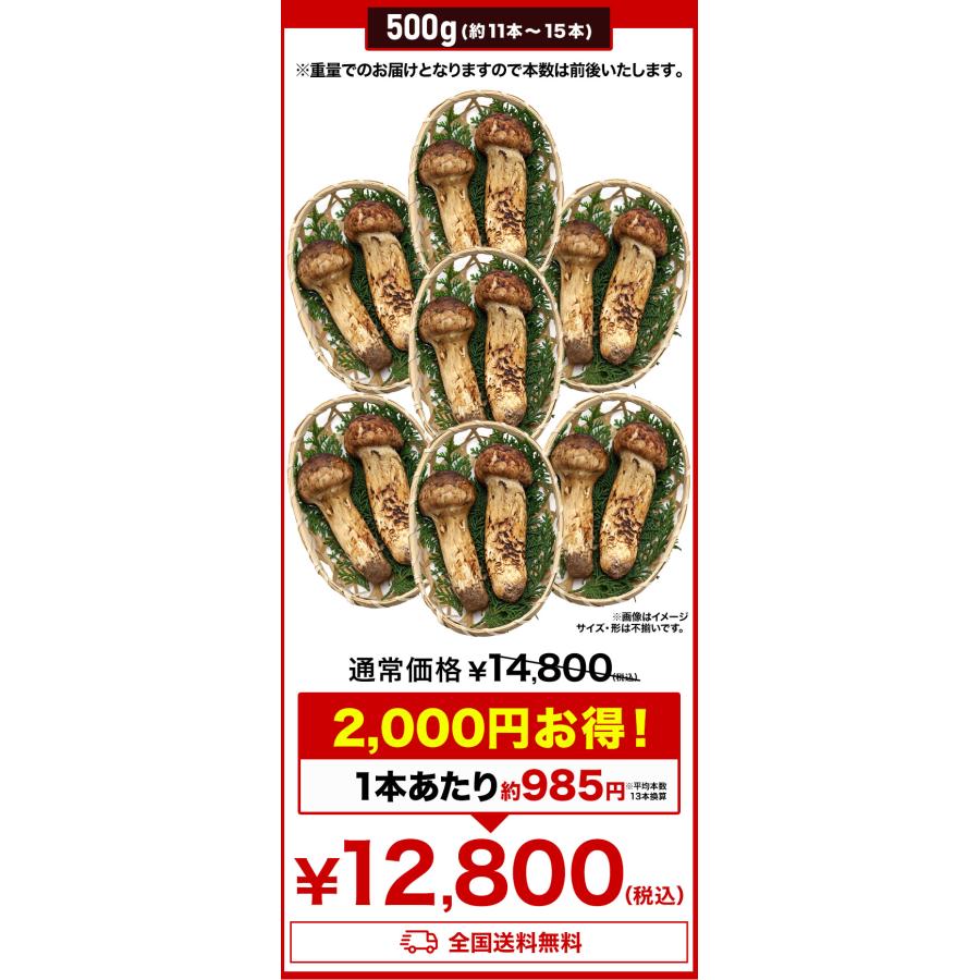 500g 天然松茸(つぼみ) 松茸 まつたけ マツタケ 天然松茸 高級松茸 天然 秋の味覚 希少 高級食材 旬 山の幸 きのこ キノコ つぼみ 送料無料 爆買_9