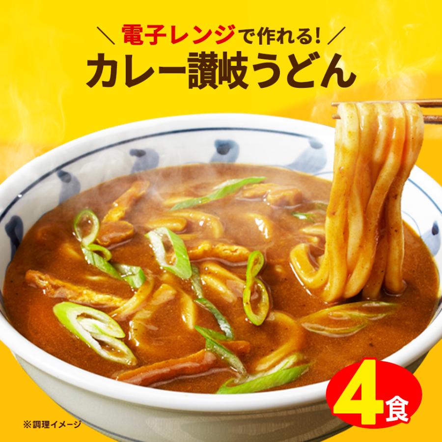 人気急上昇 送料無料 讃岐カレーうどん4食 生麺 お試し 讃岐 レンジ 時短 産直 グルメ 1000円 ポッキリ 食品 オープン記念 得トクセール  ポイント消化 whitesforracialequity.org