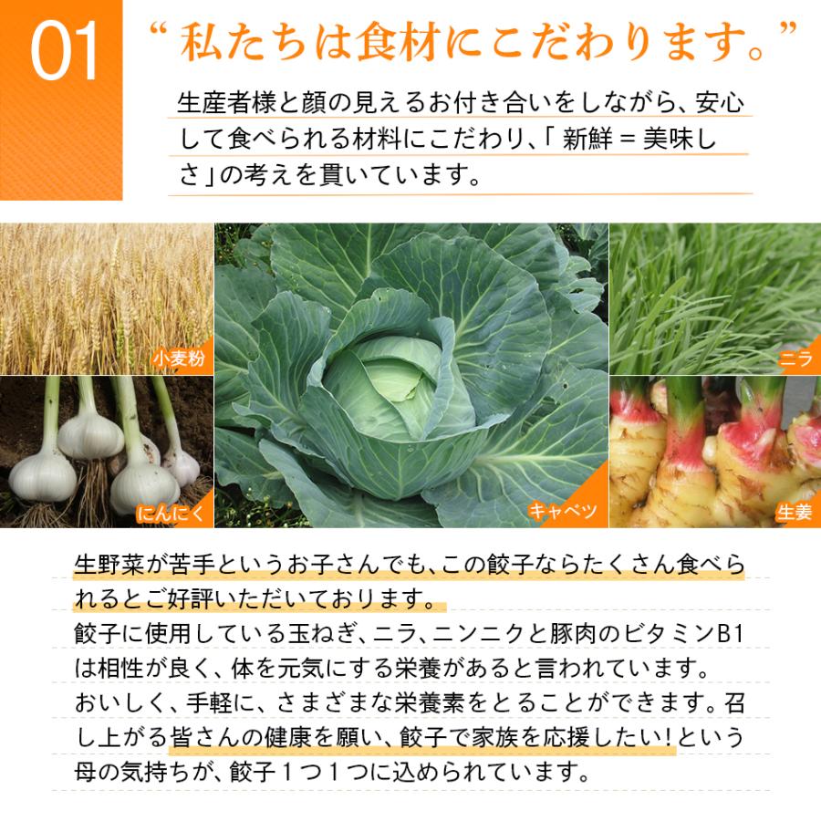 餃子 ぎょうざ 冷凍 鹿児島 ビッグファイブ 黒豚 豚肉 送料無料 生餃子 無添加 【BIG5鹿児島黒豚生餃子5パック】｜gochisouperori｜10