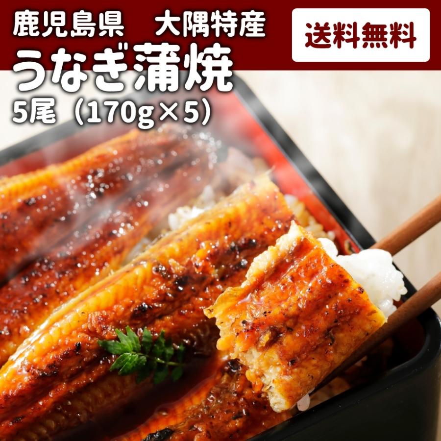 鹿児島 ウナギ かば焼き 蒲焼 鰻 送料無料 冷凍 お中元 御中元 土用 の 丑の日 ギフト うなぎ5尾 Unagi5 グルマンデyahoo ショッピング店 通販 Yahoo ショッピング
