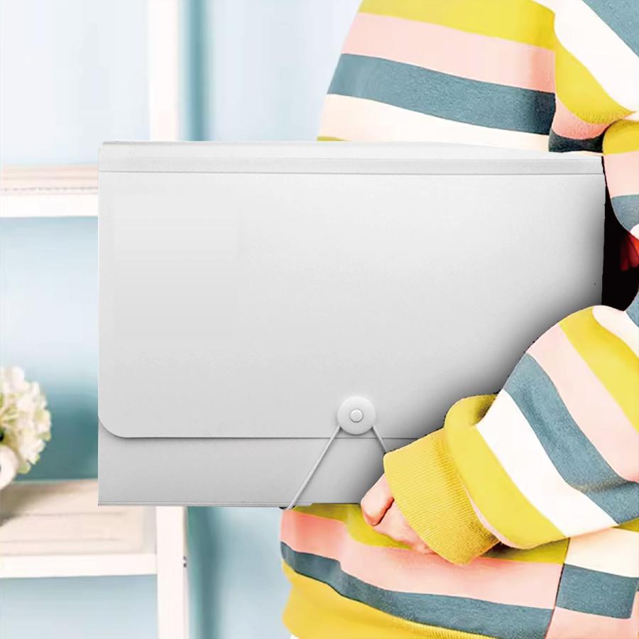 ファイル a4 アコーディオン 書類ケース レターケース ドキュメントファイル クリアファイル 13ポケット 450枚収納 便利 a-filecase |  | 09