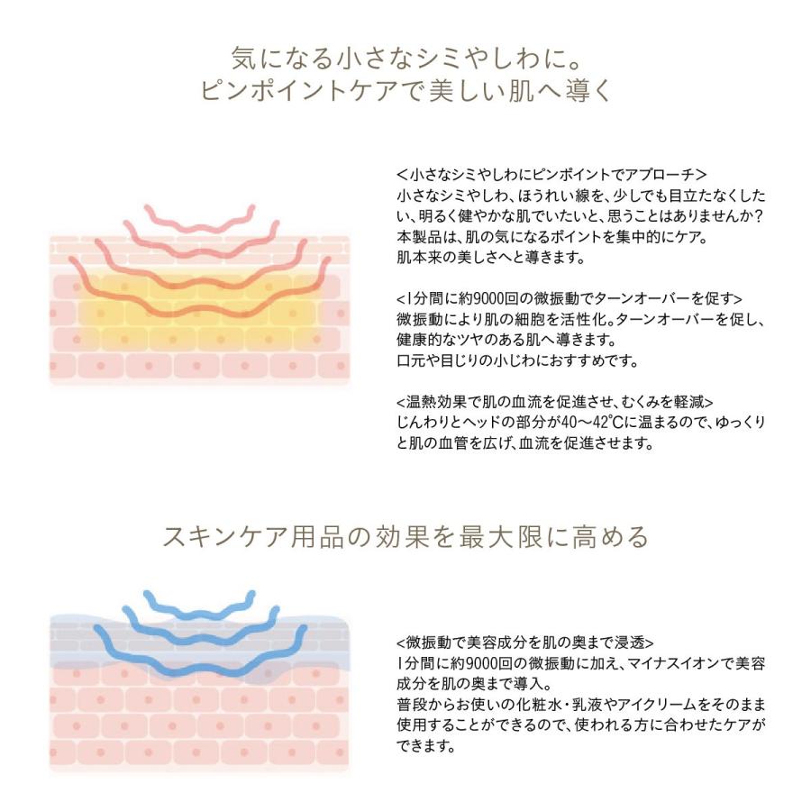 イオン導入 美顔器 イオン導入器 振動 美容器 エステ ハンディ