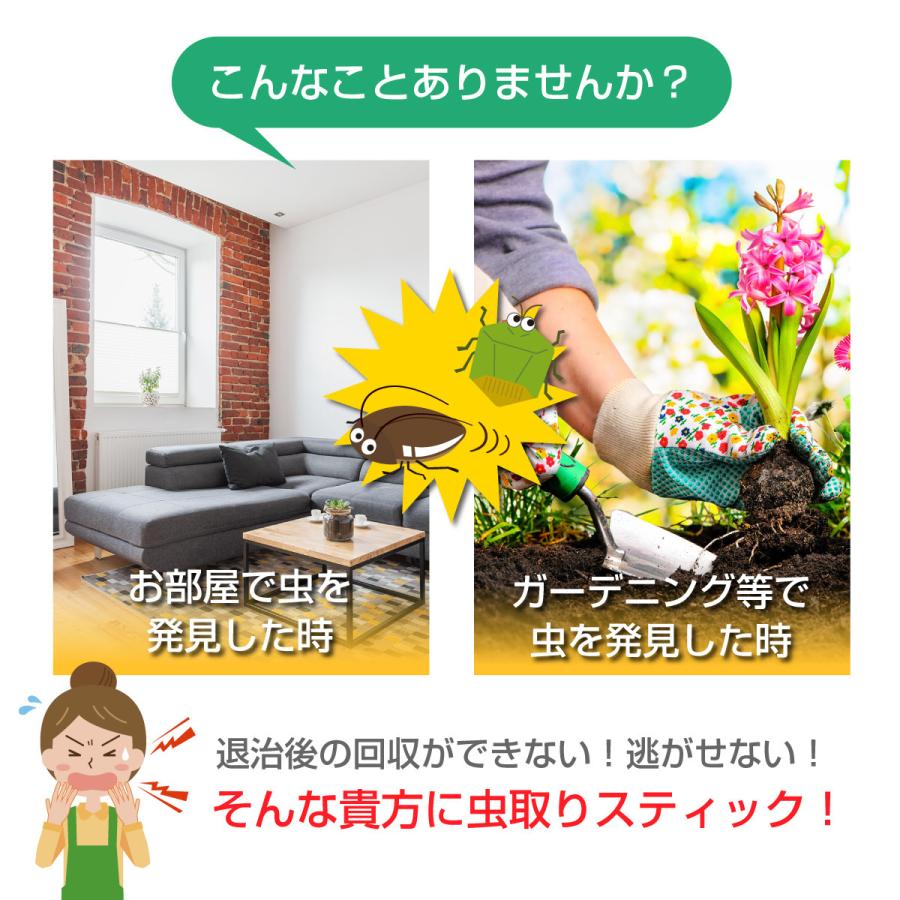 本店 虫取り 虫捕り スティック キャッチャー 虫 ゴキブリ クモ 害虫 つかむ Critter Catcher Aynaelda Com