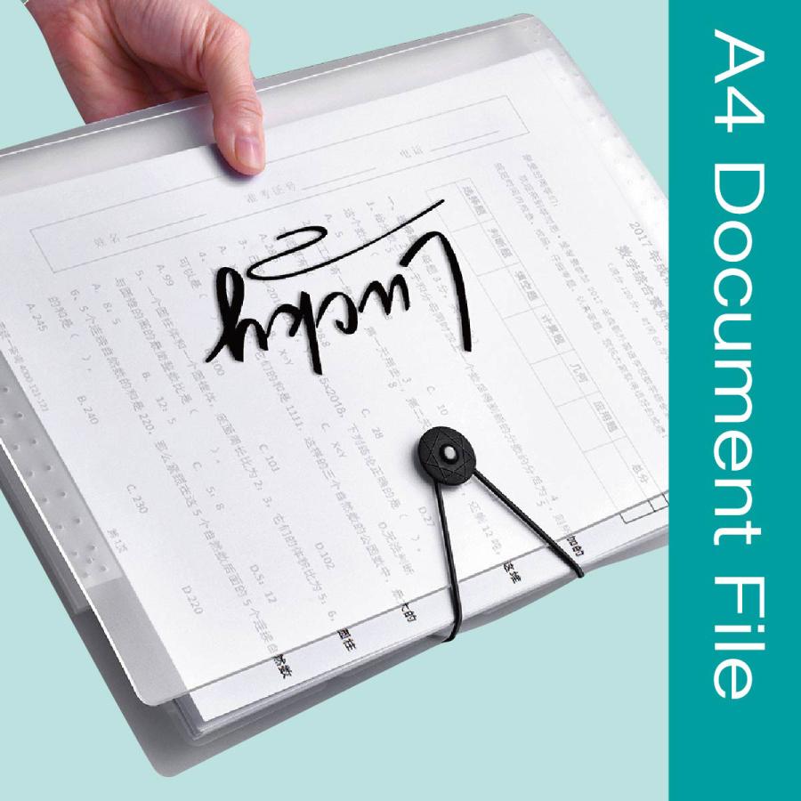 ドキュメントファイル ドキュメントケース A4 12ポケット