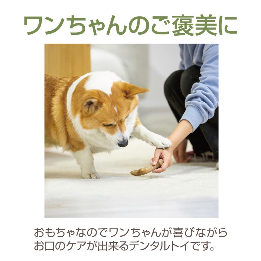 パーフェクトアントラー 犬用おもちゃ 鹿角 犬 イヌ いぬ デンタル