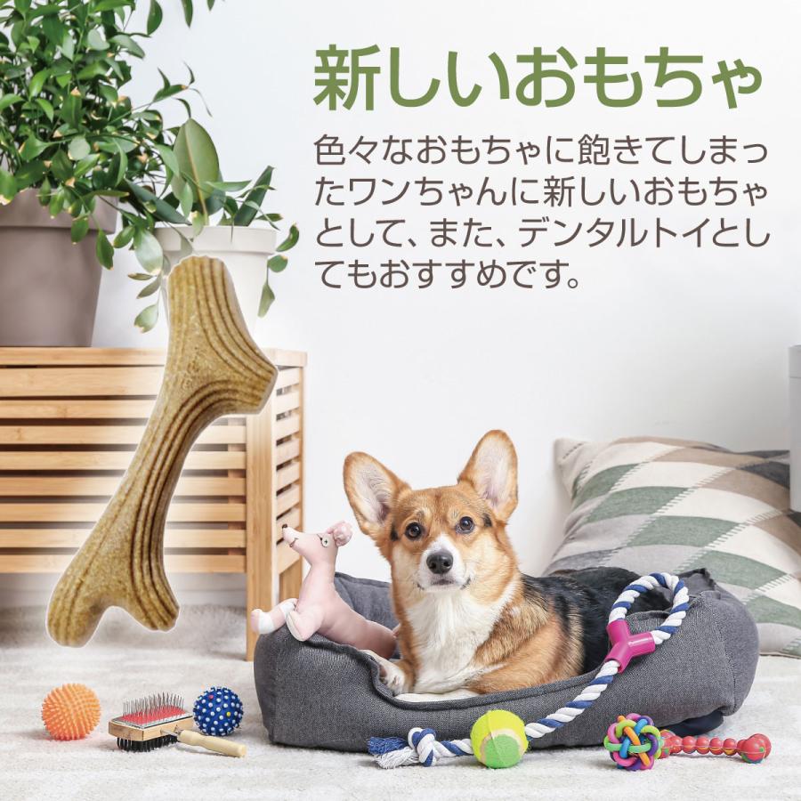 パーフェクトアントラー 犬用おもちゃ 鹿角 犬 イヌ いぬ デンタル
