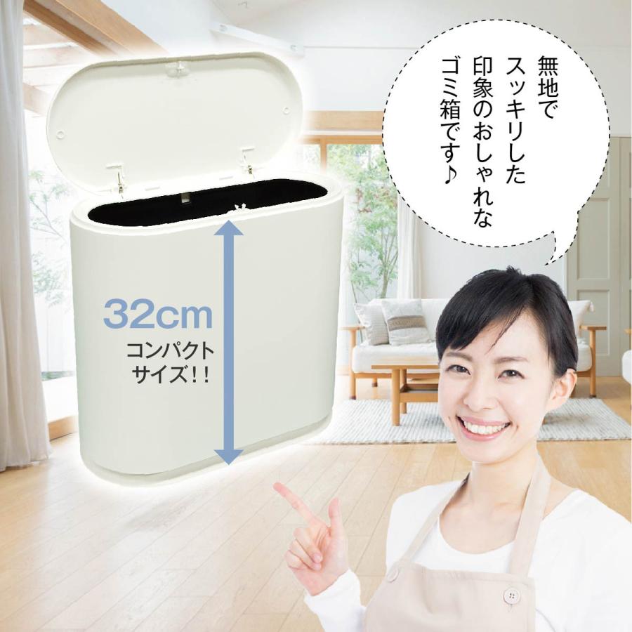 ゴミ箱 プッシュ式 分別 ごみ箱 スリム ふた付き リビング ゴミ箱 プッシュ式 分別 ごみ箱 スリム ふた付き リビング