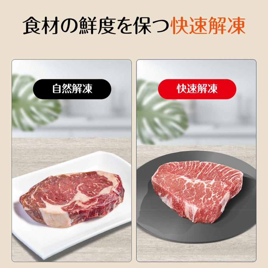 解凍プレート 快速 熱伝導 急速 解凍 肉 冷凍食品 ギフト｜gochumon｜05