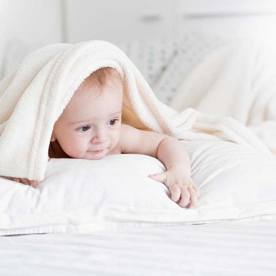 枕干しネット 2枚セット 枕 まくら ネット 物干し クッション ぬいぐるみ 新生活 makura-net |  | 02