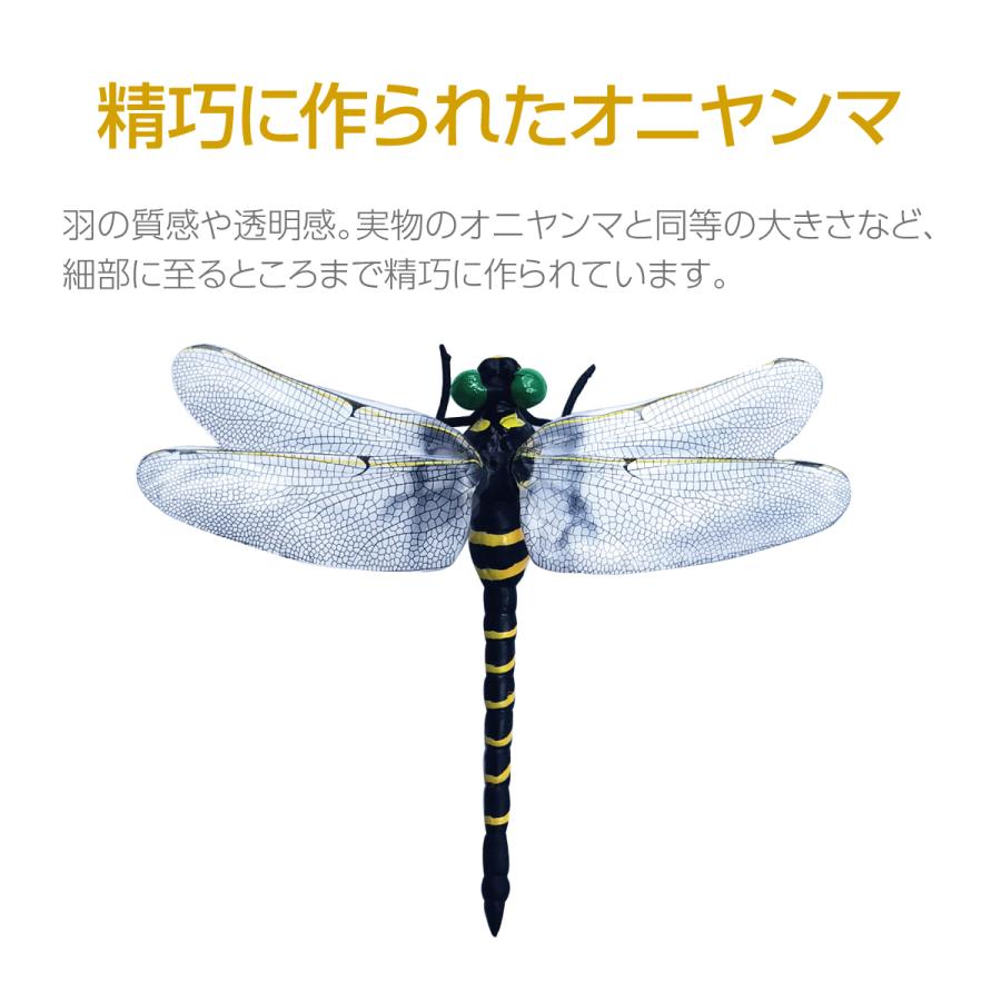 天敵で虫除け トンボ 蜻蛉 モデル 虫除け2cm キャンプ　オニヤンマ Amazon.co.jp: トンボ 蜻蛉 モデル 虫除け 虫除け オニヤンマ 2024年