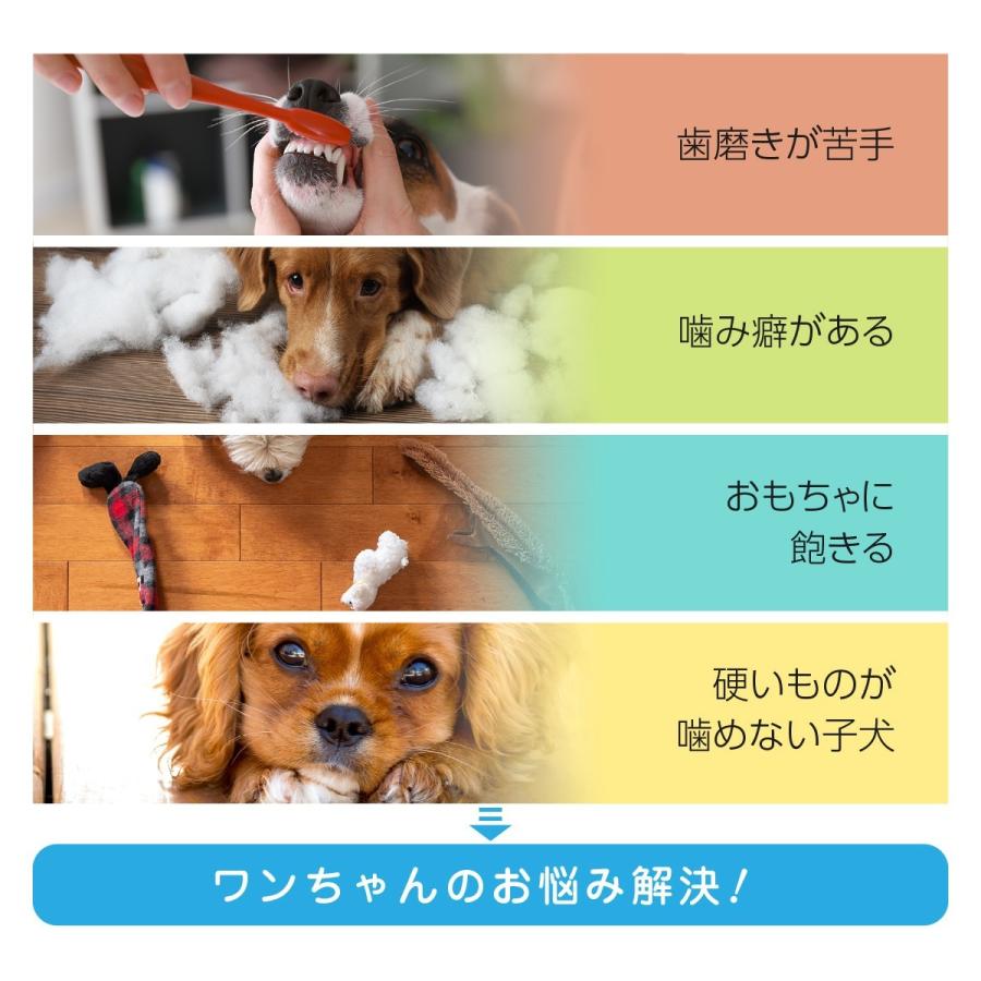 犬用 歯ブラシ 犬 おもちゃ 歯磨き ペット 虫歯 デンタルケア P Toothb P Toothb ご注文ドットコム 通販 Yahoo ショッピング