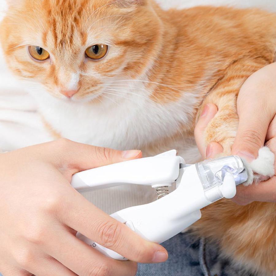 最新コレックション WOLFWILL 電動爪切り 爪とぎ 電動爪ヤスリ ネイルケア ネイルトリマー 猫爪切り 犬爪切り 爪ヤスリ 電動 電動爪トリマー 電動爪削る WOLFWILL 電動爪切り 爪とぎ 電動爪ヤスリ ネイルヤスリ(犬用 猫用) ペット用品