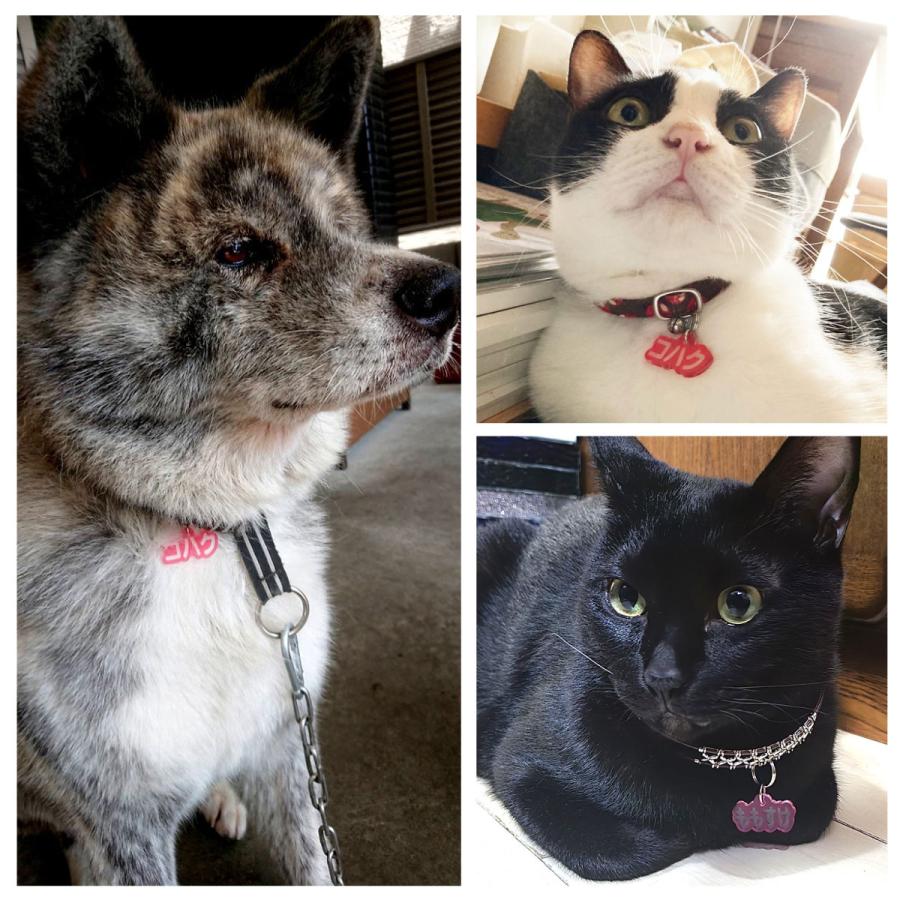 迷子札 犬 猫 ペット 名札 ネームプレート クリアアクリル まいごふだ