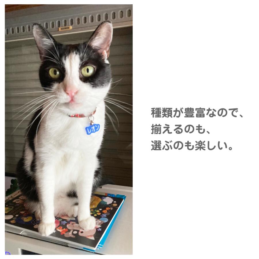 迷子札 犬 猫 ペット 名札 ネームプレート クリアアクリル まいごふだ