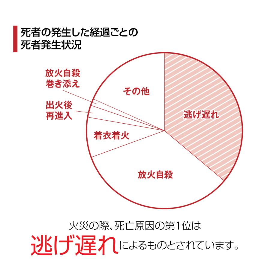 ニゲニゲスモークパック 10枚セット 防煙フード 火災 緊急避難用 地震 津波 火事 一酸化炭素中毒 防災 防災グッズ｜gochumon｜03