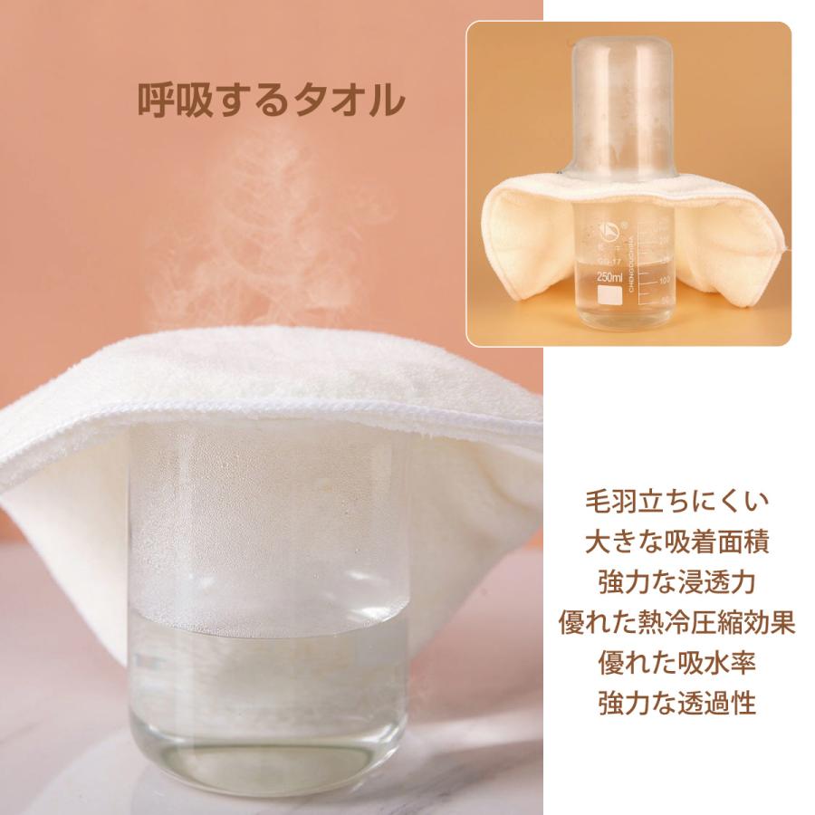 フェイスマスク タオル フェイスタオル 2枚セット 厚手 吸水 パック