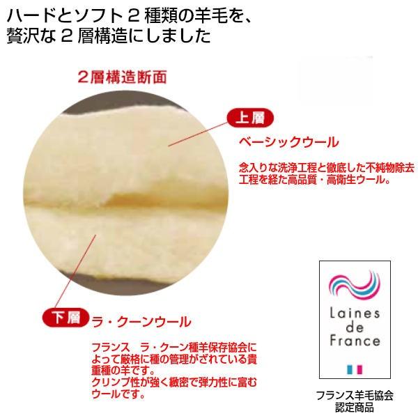 Seal限定商品 フランスベッド らくピタ ラクーン羊毛ベッドパッド ダブルサイズd 日本製 France Bed レビューで送料無料 Www Technet 21 Org