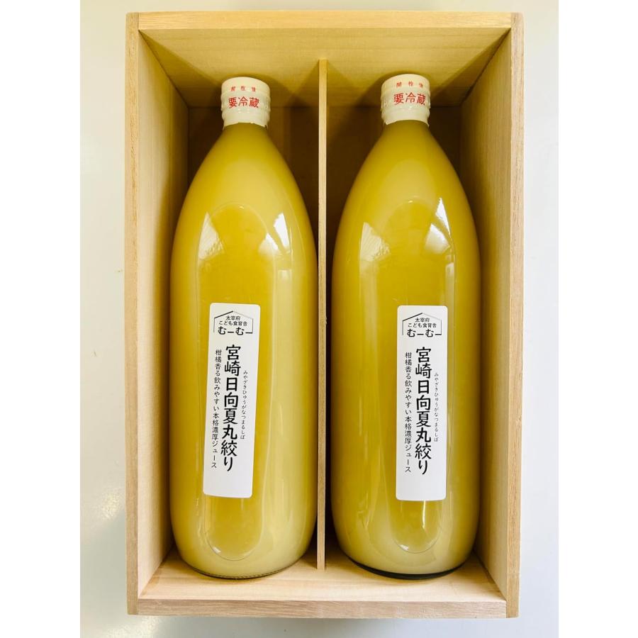 宮崎日向夏ジュース 桐箱入り 1000ml2本立て 国産 無添加 : 太宰府