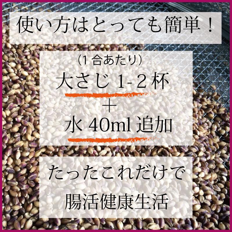 もち麦  お徳用 2kg 業務用 国産 農薬不使用 栄養価最高峰の殻付き紫もち麦品種｜godaihasebegift｜03