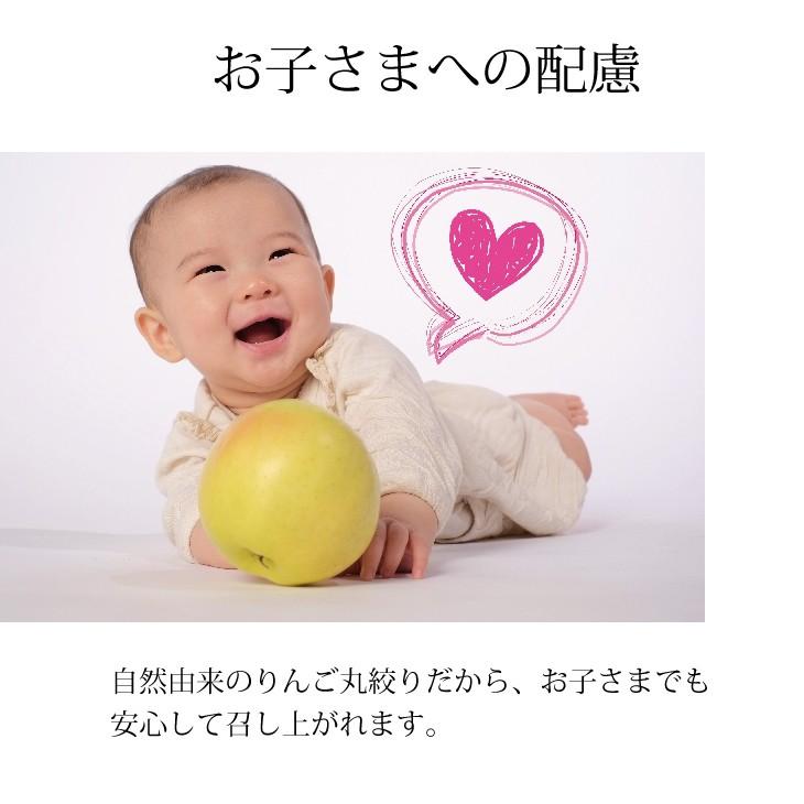 入学卒業祝い ギフト 詰め合わせ 送料無料 高級青リンゴジュース2本立て 100 桐箱入 Ringo2 南部吟右衛門 通販 Yahoo ショッピング